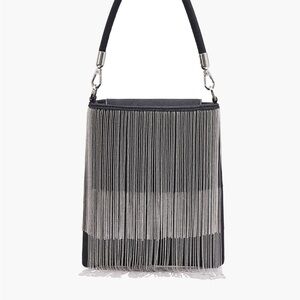 Elegant Silver Fringe Evening Bag
